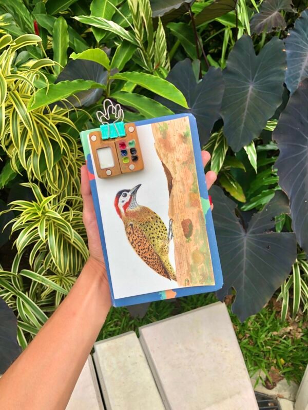 Taller de ilustración de aves