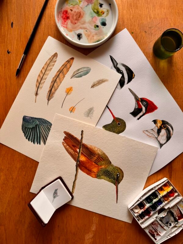Taller de ilustración de aves