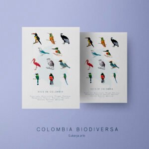 Poster - Aves de Colombia