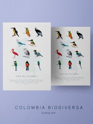 Poster - Aves de Colombia