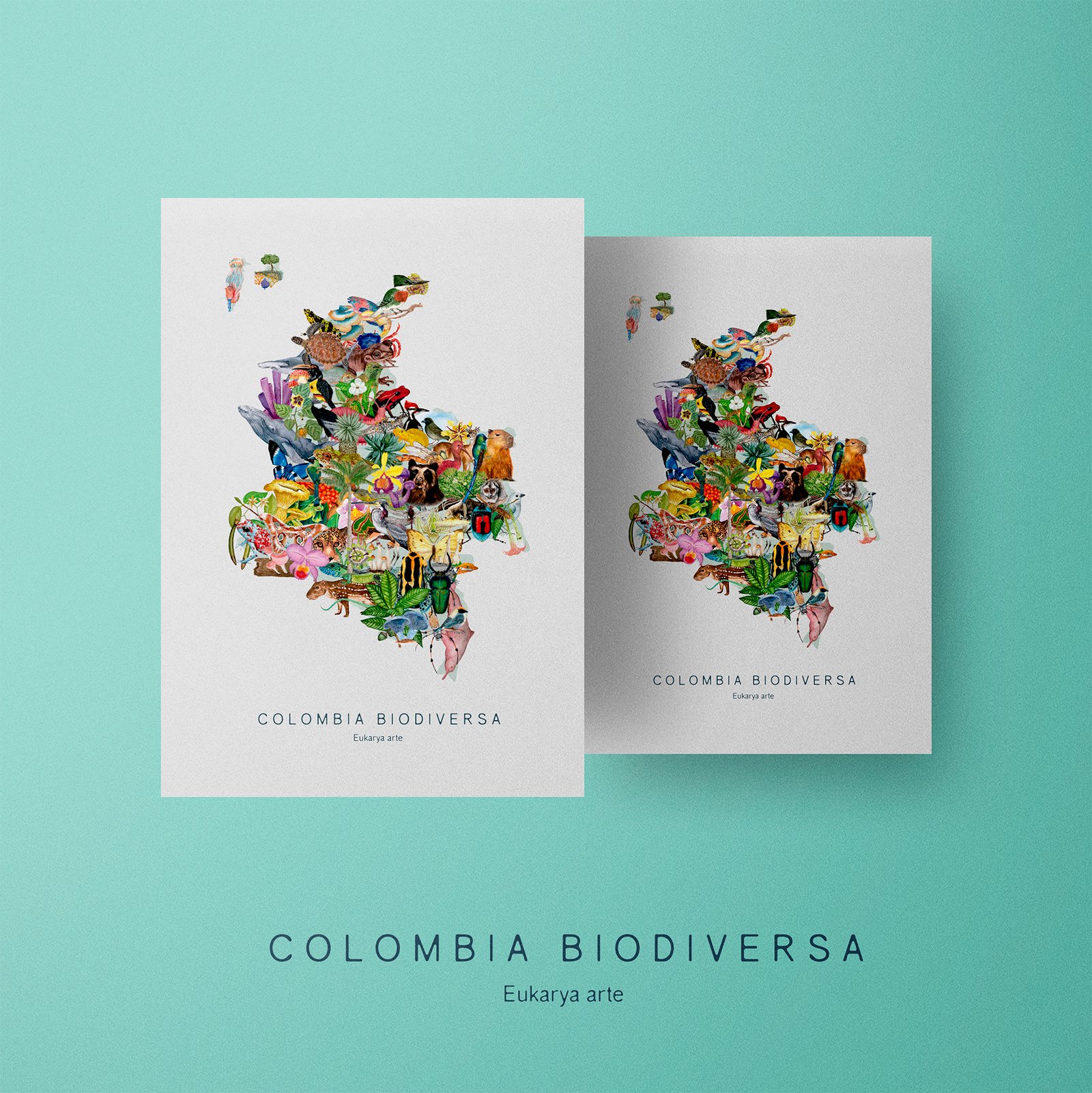 Poster - Colombia Biodiversa