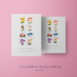 Poster - Hongos de Colombia