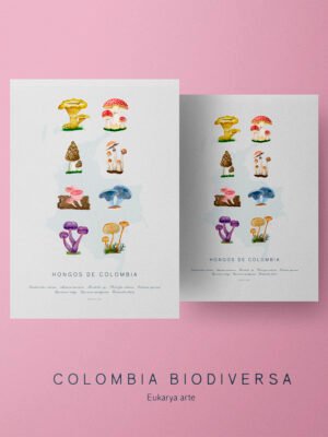 Poster - Hongos de Colombia