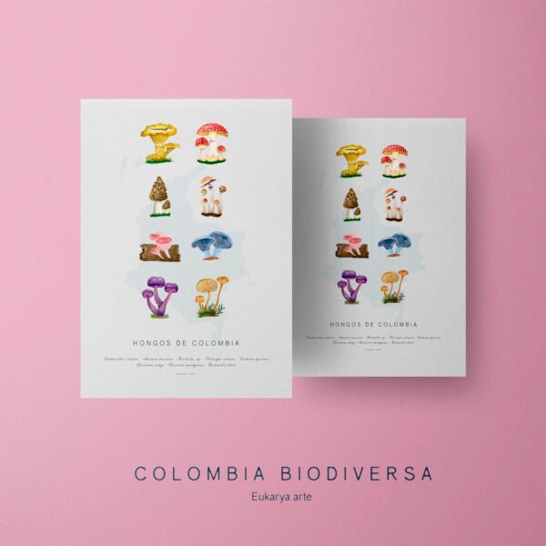 Sin título-1_0002_hongos.png Poster - Hongos de Colombia