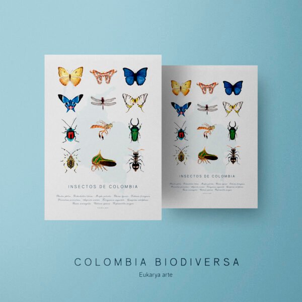 Poster - Insectos de Colombia