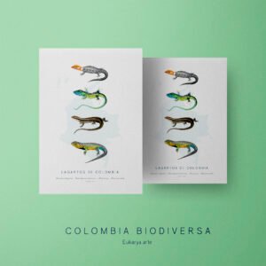 Poster - Lagartos de Colombia