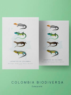 Poster - Lagartos de Colombia