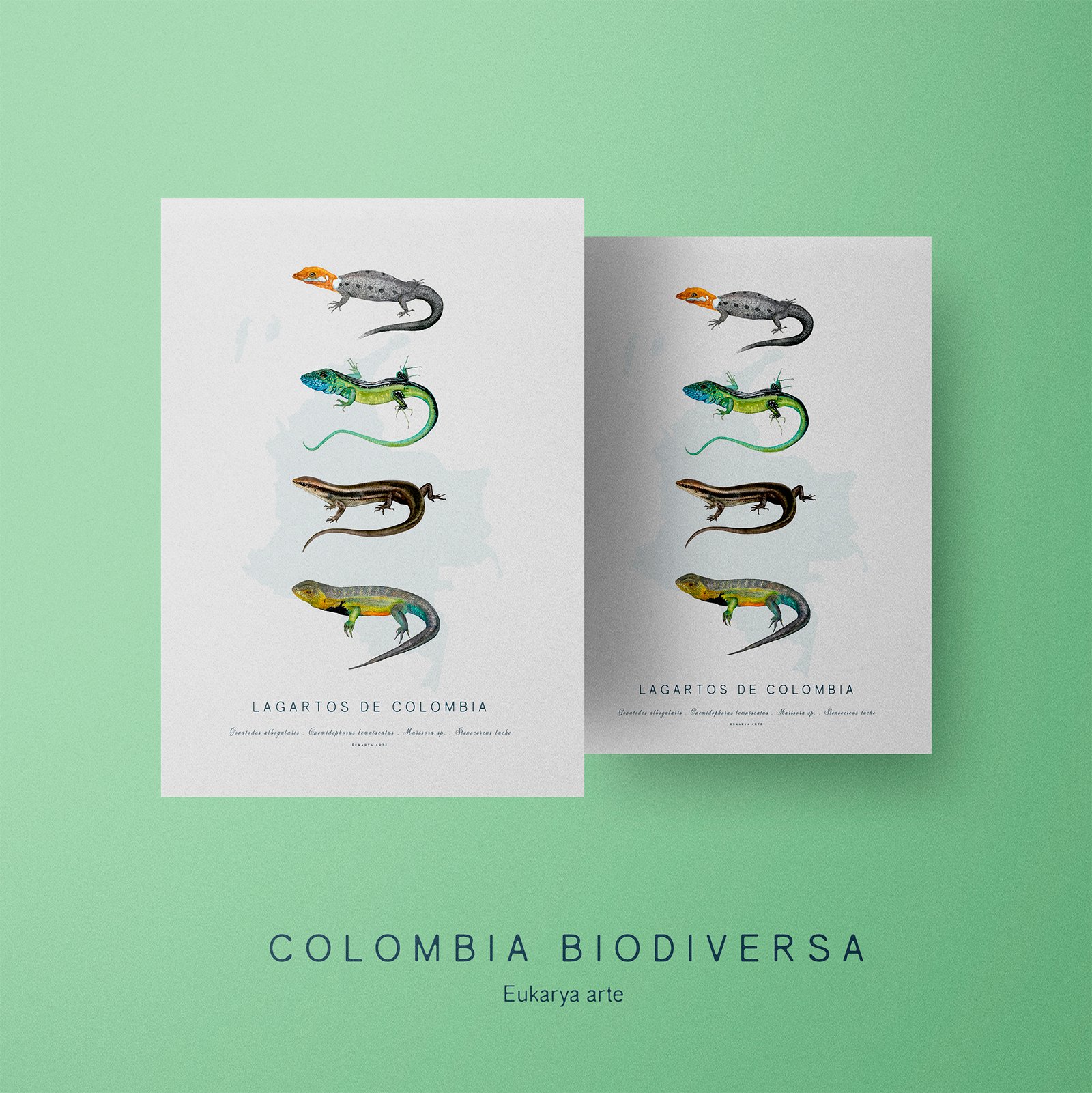 Poster - Lagartos de Colombia