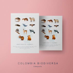 Poster - Mamíferos de Colombia