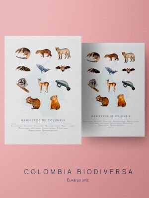 Poster - Mamíferos de Colombia