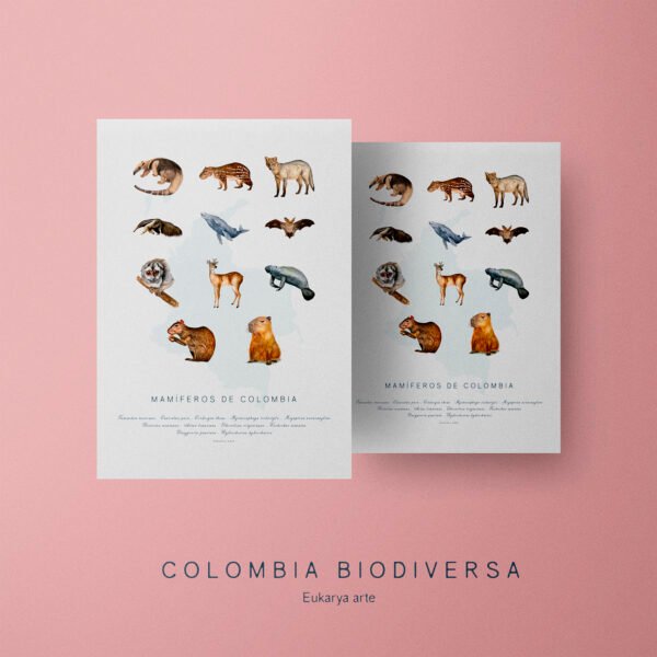 Sin título-1_0005_mamiferos.png Poster - Mamíferos de Colombia