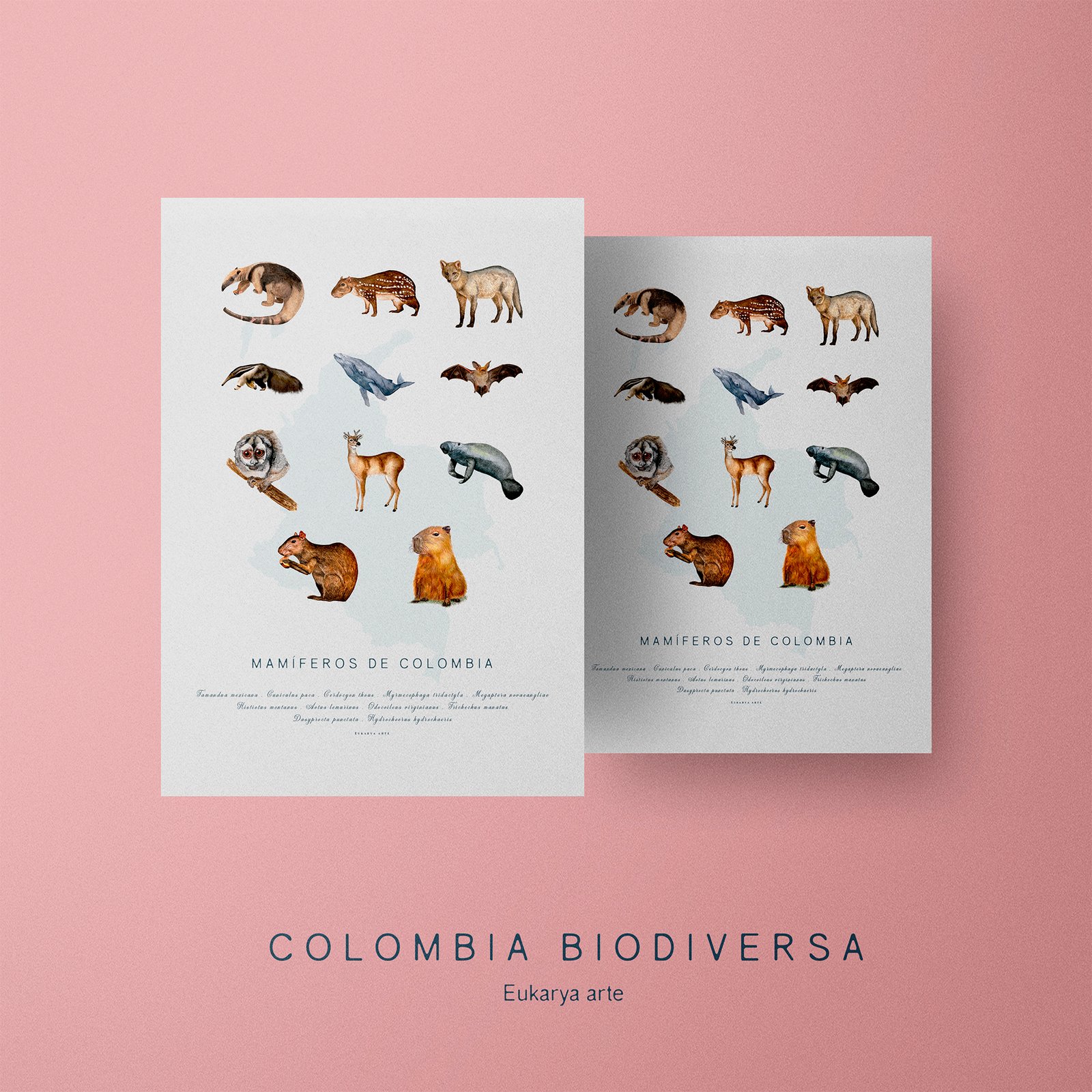 Poster - Mamíferos de Colombia