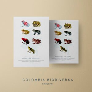Poster - Anuros de Colombia