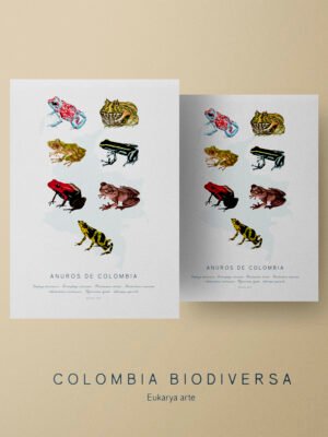 Poster - Anuros de Colombia