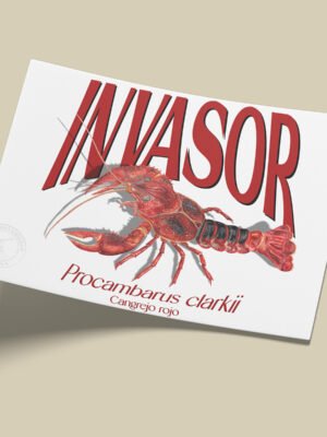 Afiche Cangrejo Rojo-Procrambus clarkii