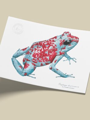 Afiche Rana dardo arlequin-Oophaga histrionica