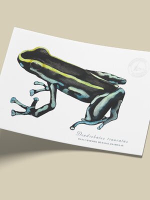 Afiche Dendrobatido-Dendrobates truncatus