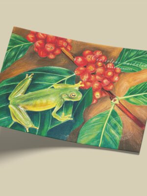 Afiche Rana de cristal-Centrolene daidalea