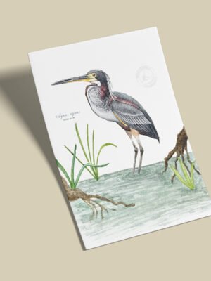 Afiche Garza-Agami agami