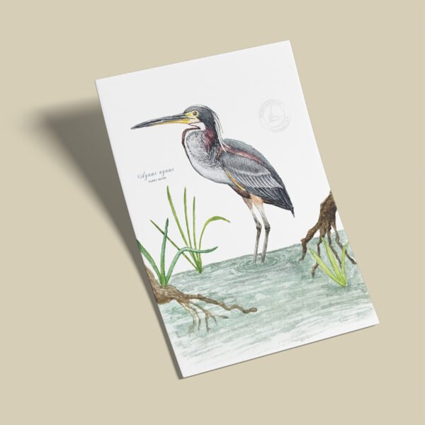 Afiche Garza-Agami agami