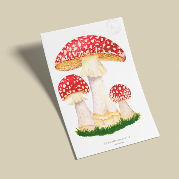 Afiche Amanita muscaria-Amanita muscaria