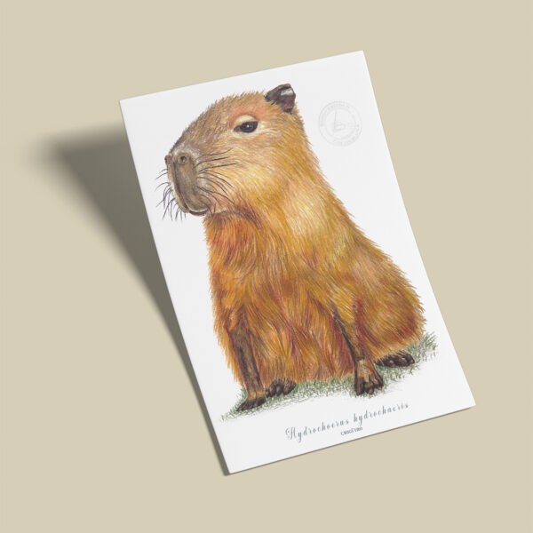 afiche_0038_mamiferos-7.png Afiche Chiguiro-Hydrochoerus hydrochaeris