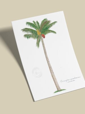 Afiche Palma de cera-Ceroxylon quindiuense