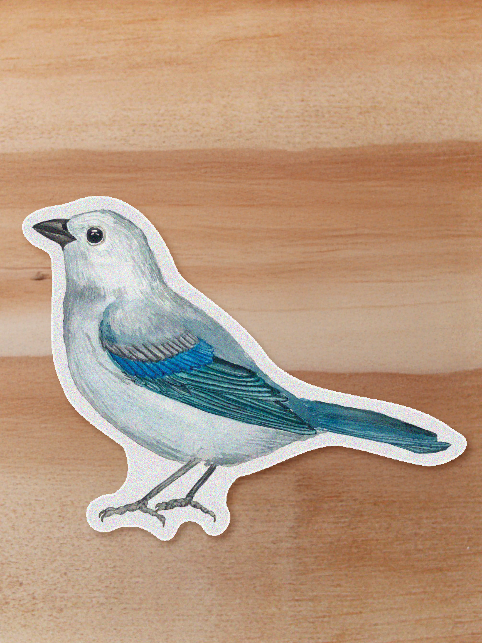 Sticker Azulejo-Thraupis episcopus