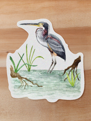 aves-11 Sticker Garza-Agami agami