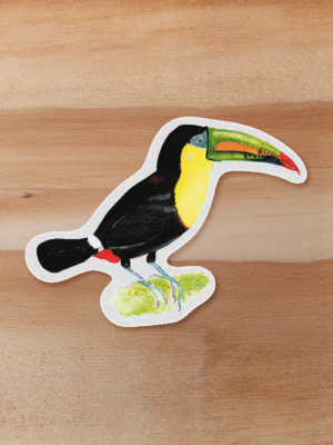aves-21 Sticker Tucan-Ramphastos sulfuratus