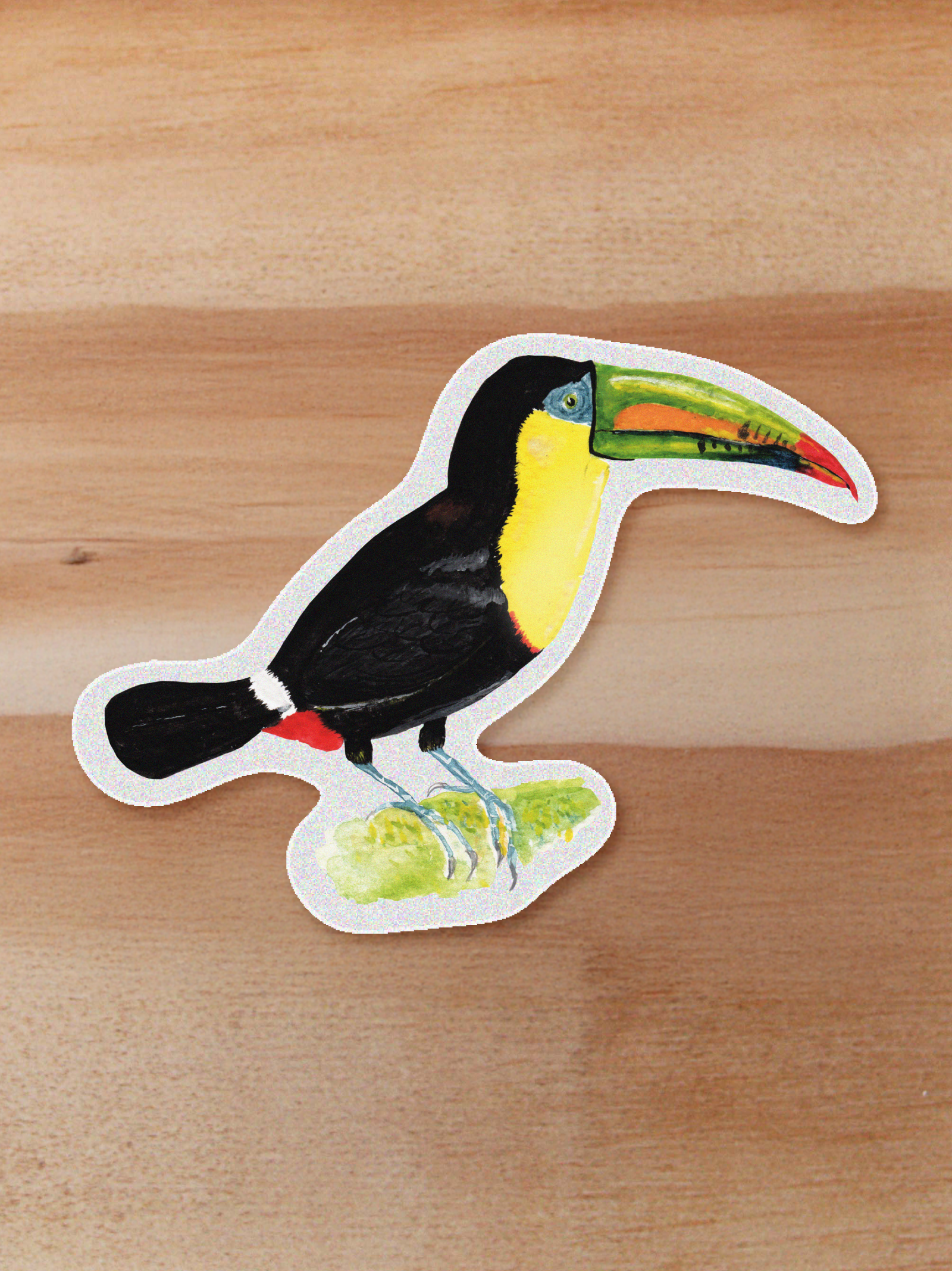 Sticker Tucan-Ramphastos sulfuratus