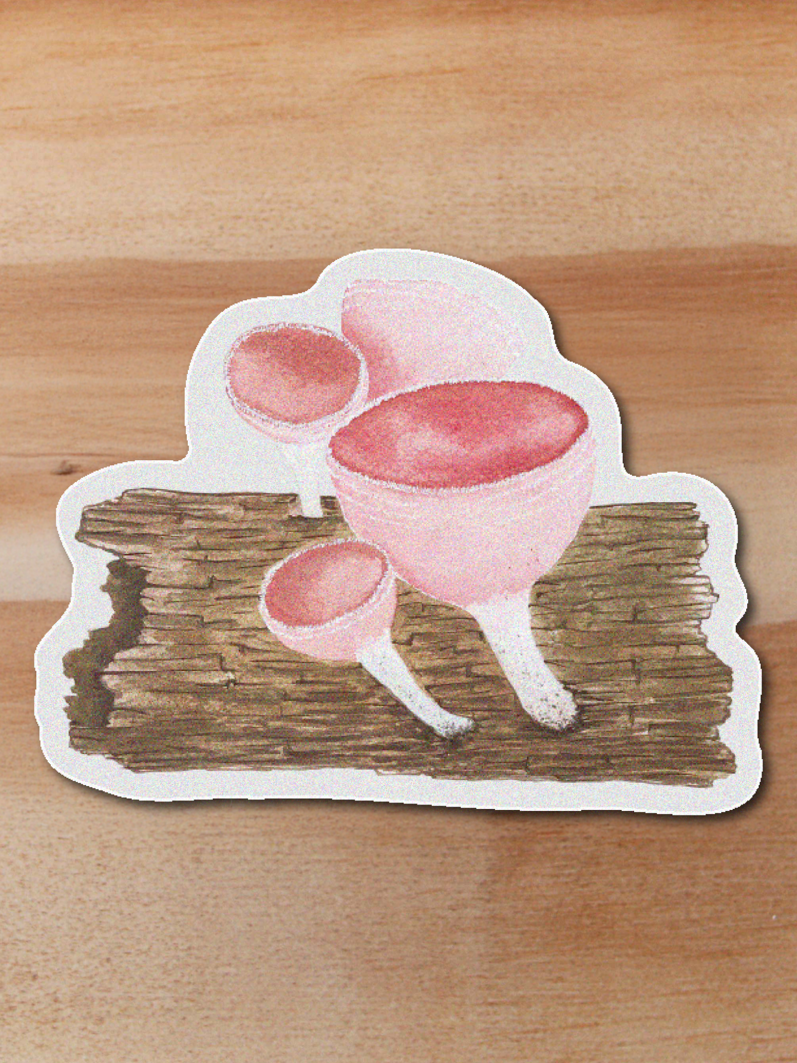 Sticker Cookeina speciosa-Cookeina speciosa