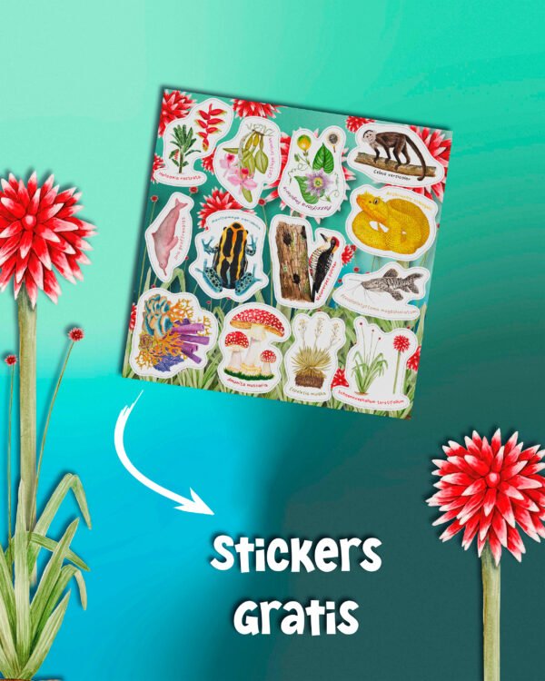 portada-04 ✨Planeador 2026 ✨