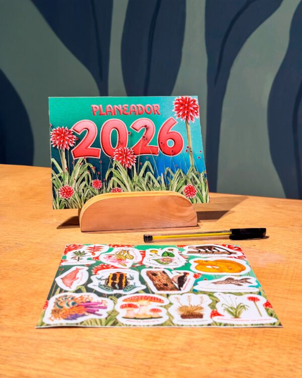 post-03 ✨Planeador 2026 ✨