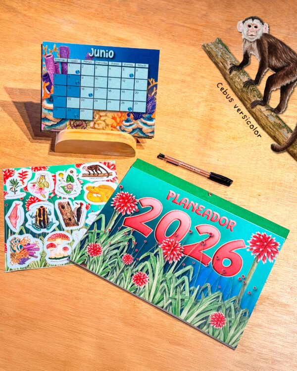 post-04 ✨Planeador 2026 ✨