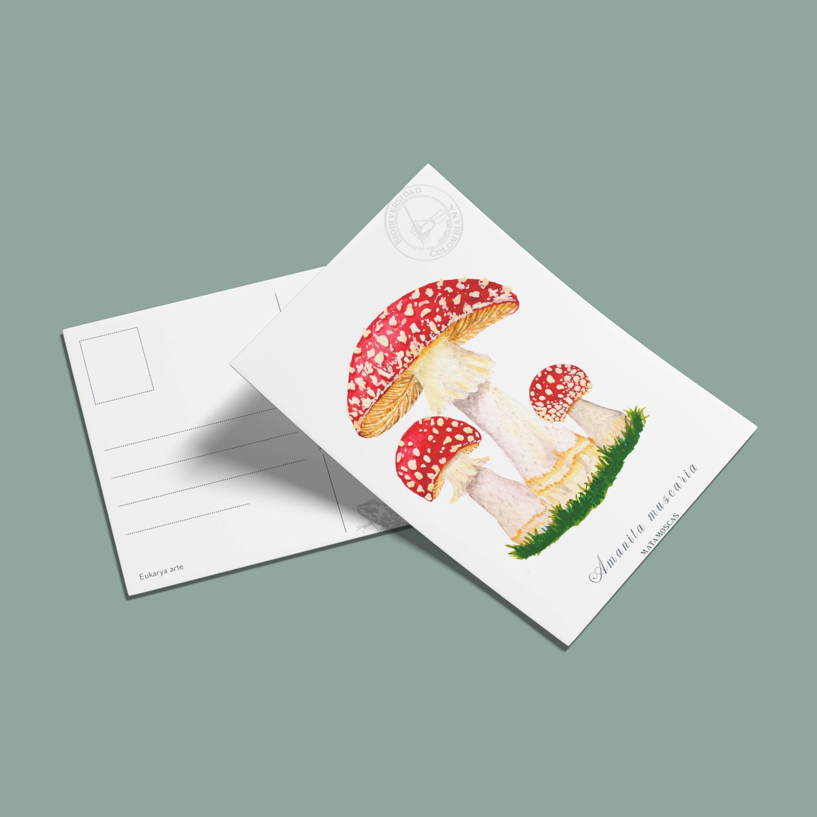 postal-10 Postal Amanita muscaria-Amanita muscaria