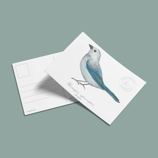 Postal Azulejo-Thraupis episcopus