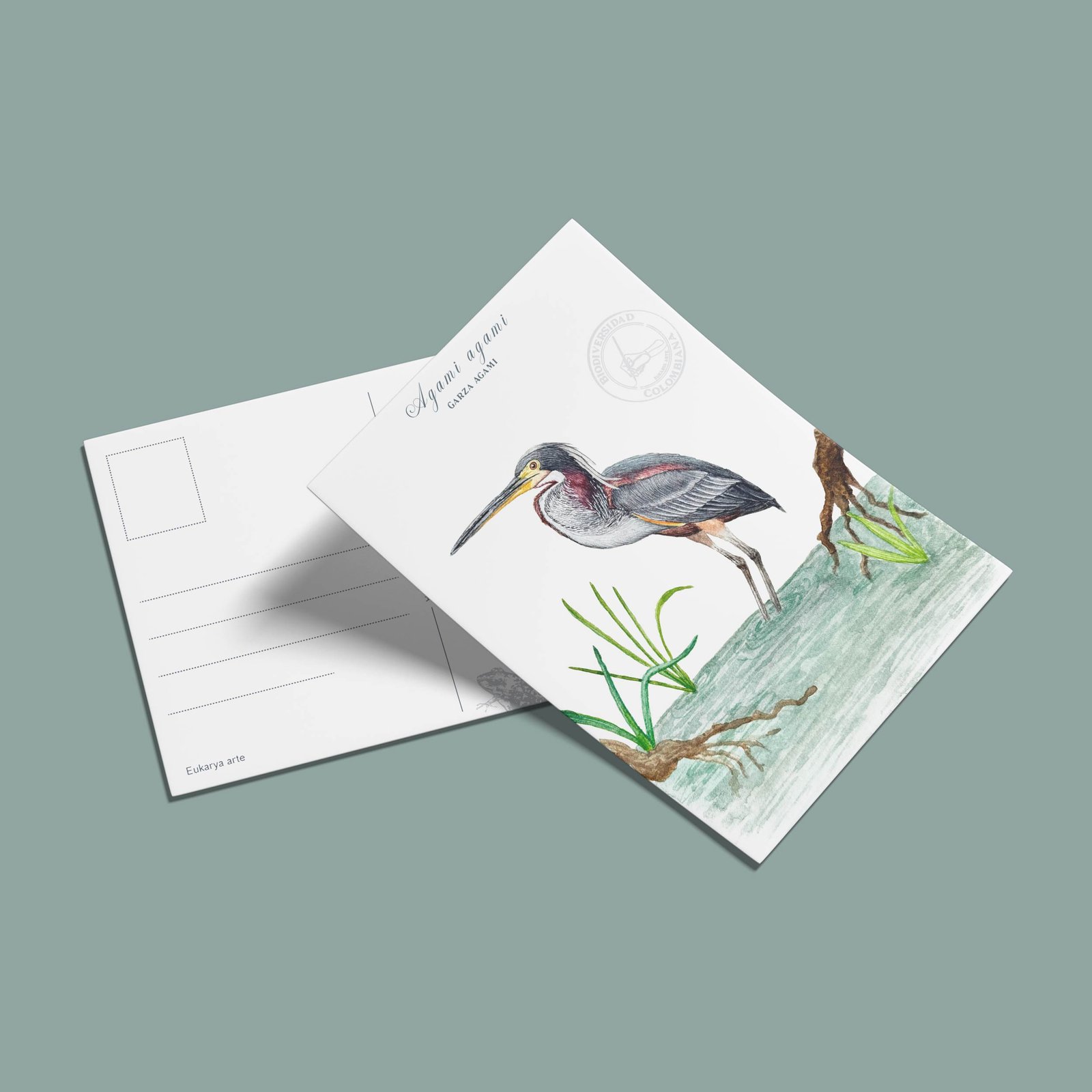 postal-15 Postal Garza-Agami agami