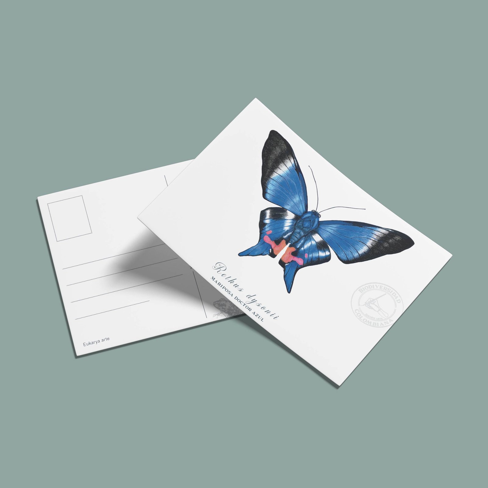 postal-20 Postal Mariposa doctor azul-Rethus dysonii