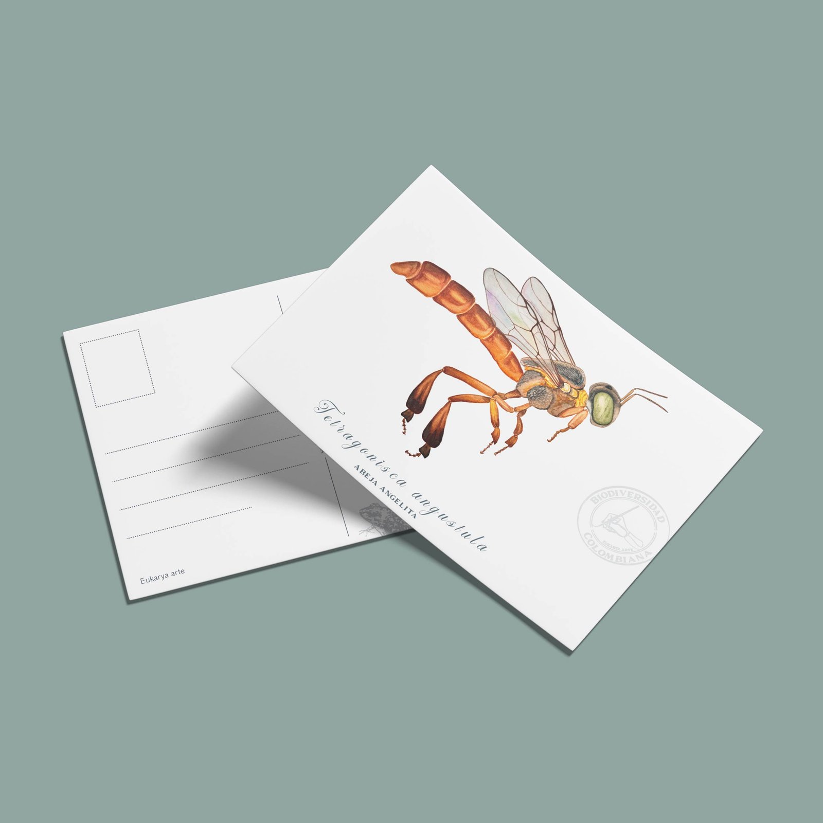 Postal Abeja Angelita-Tetragonisca angustula