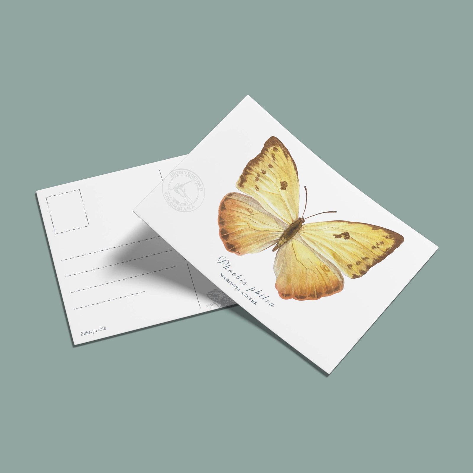 Postal Mariposa azufre-Phoebis philea