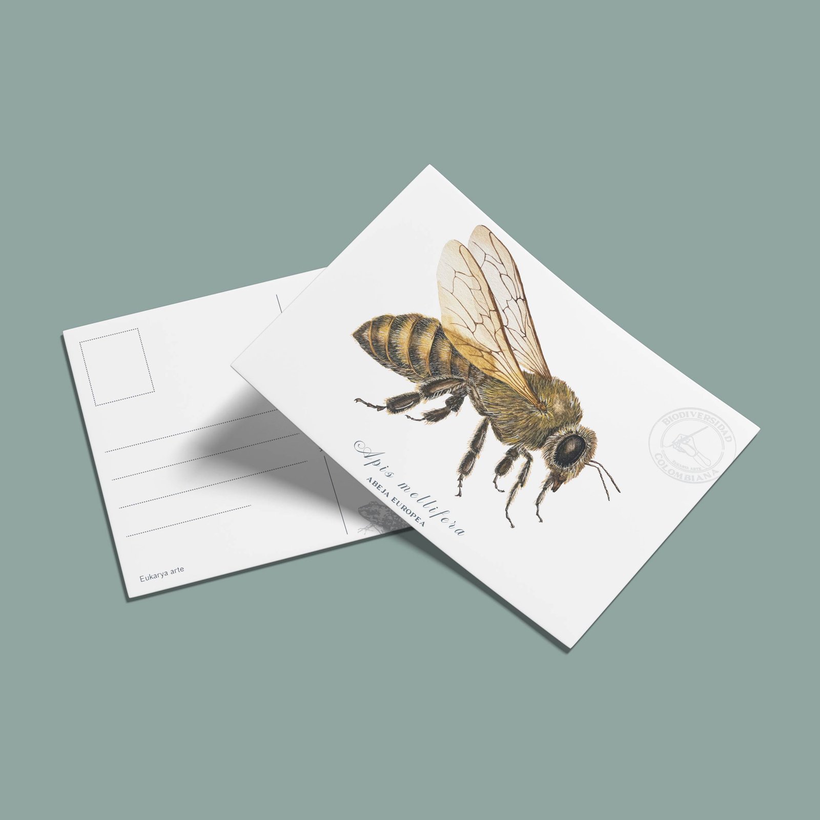 postal-28 Postal Abeja Europea - Apis mellifera