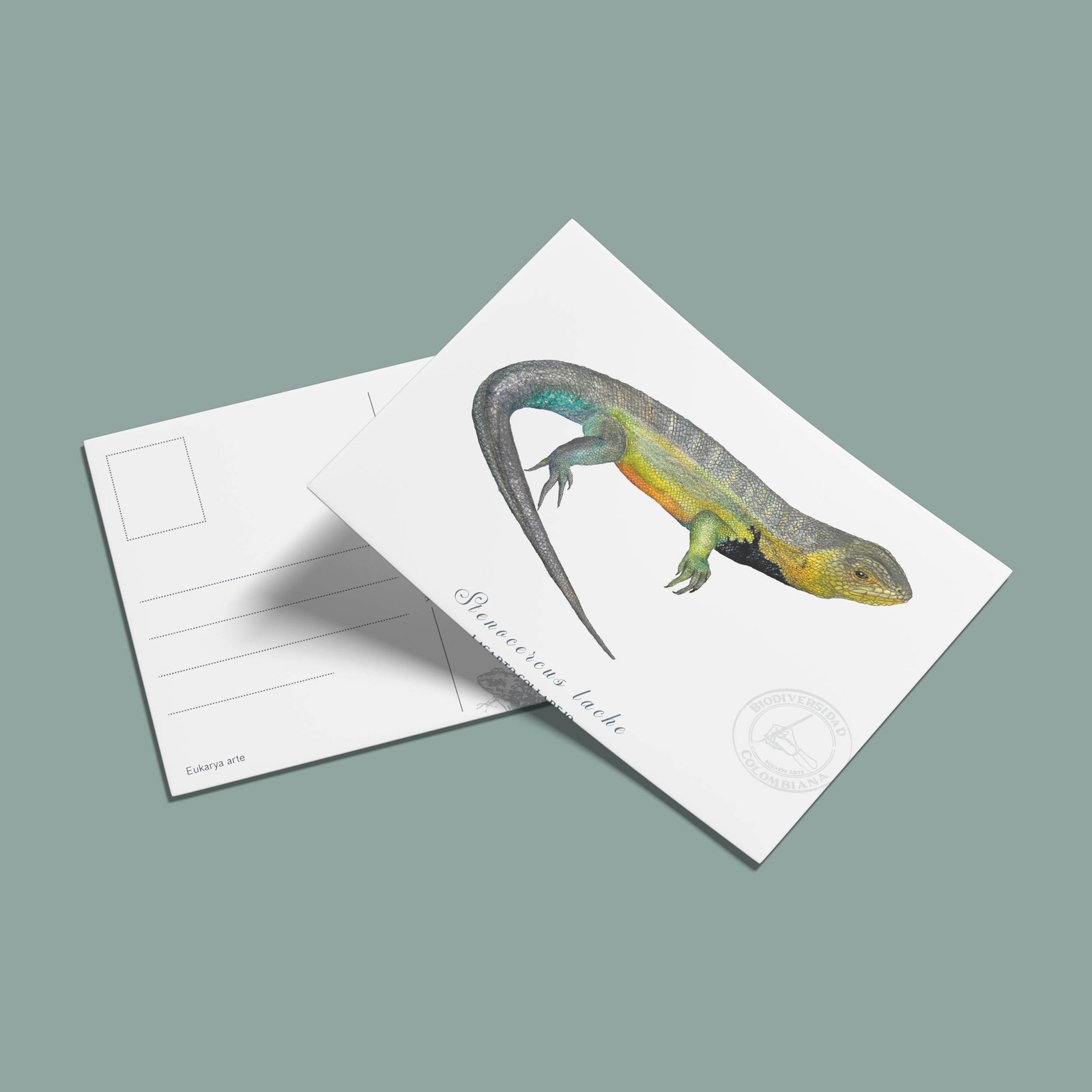 postal-30 Postal Lagarto collarejo-Stenocercus lache