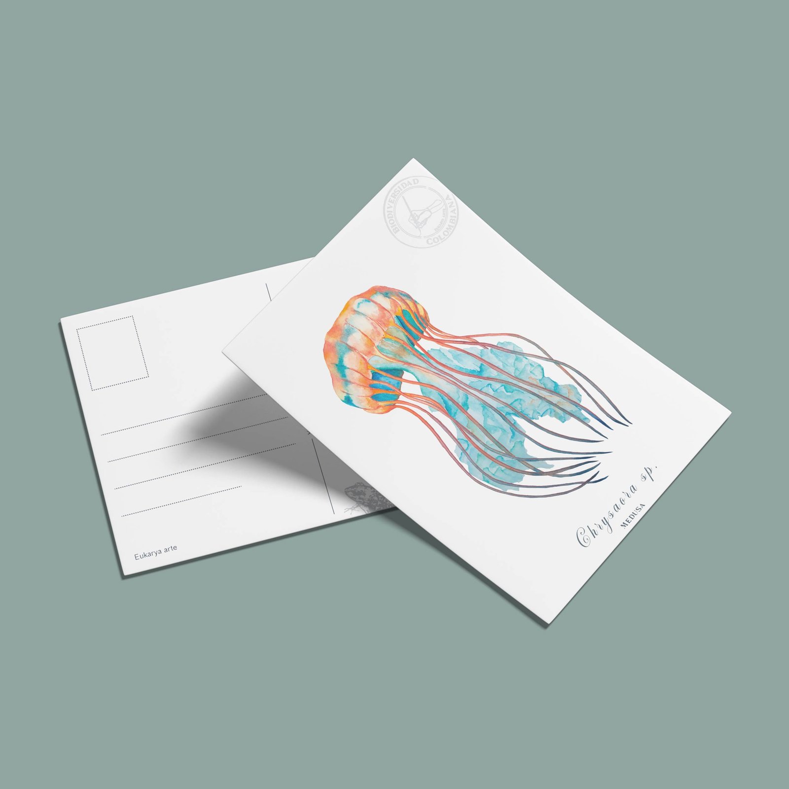 postal-40 Postal Medusa