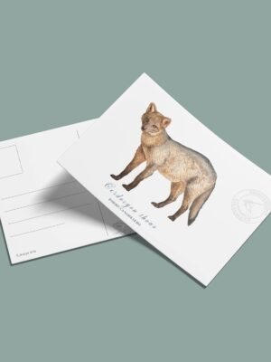 Postal Zorro perro-Cerdocyon thous