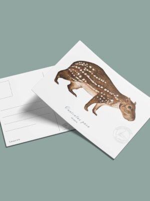 Postal Paca-Cuniculus paca