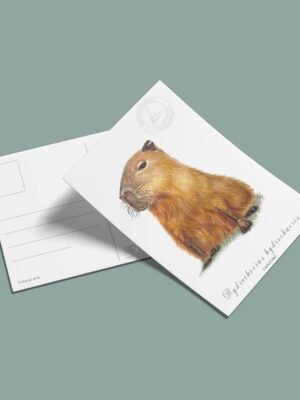 Postal Chiguiro-Hydrochoerus hydrochaeris