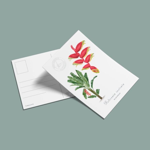 Postal Platanillo-Heliconia rostrata