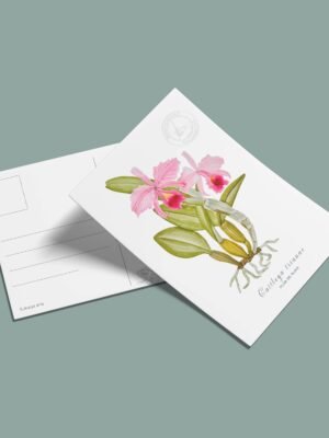 Postal Orquidea-Cattleya trianae