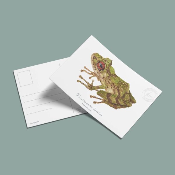 postal-6 Postal Pristimantis-Pristimantis lutitus